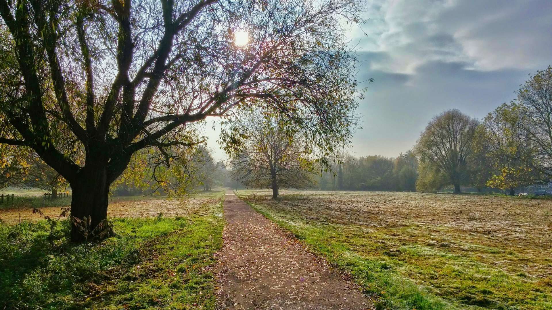 NATURAL STATE BURIAL ASSOCIATION